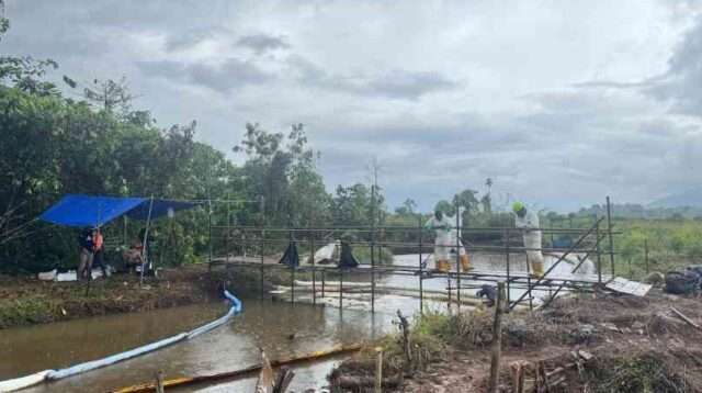 PT Vale dan Warga Perkuat Pemulihan dengan Data Ilmiah dan Gotong Royong (Foto: Humas PT Vale Indonesia)